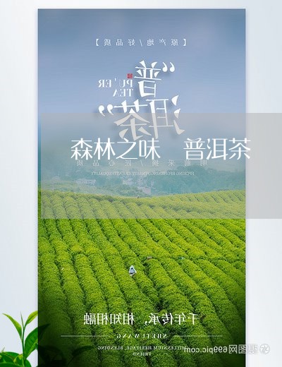 森林之味 普洱茶/2023031605041